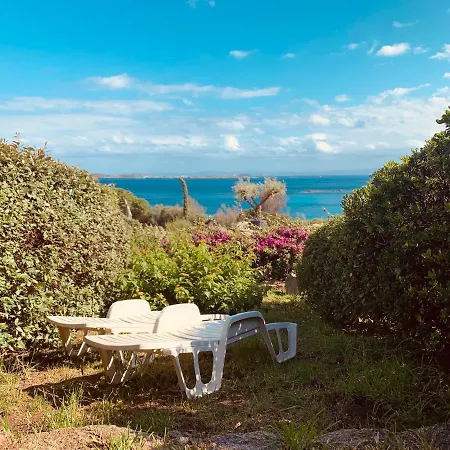 8 Arbousiers 12 * Bonifacio (Corsica)