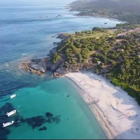 8 Arbousiers 12 Bonifacio (Corsica)